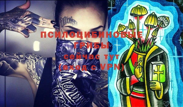 гидра Балахна