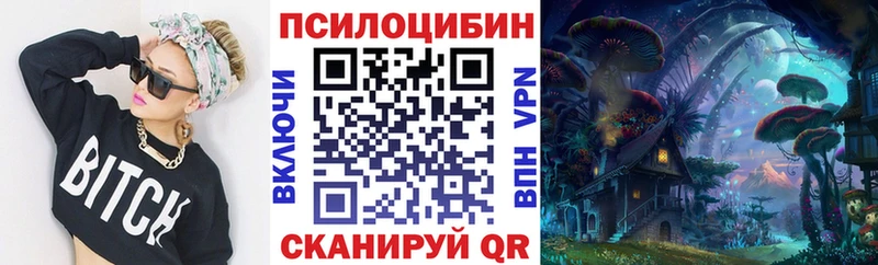 Галлюциногенные грибы Psilocybe  купить наркотик  Холм 